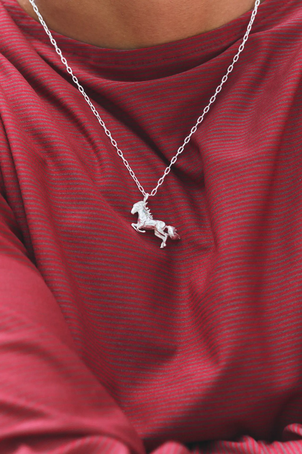 Caballo - Image 3